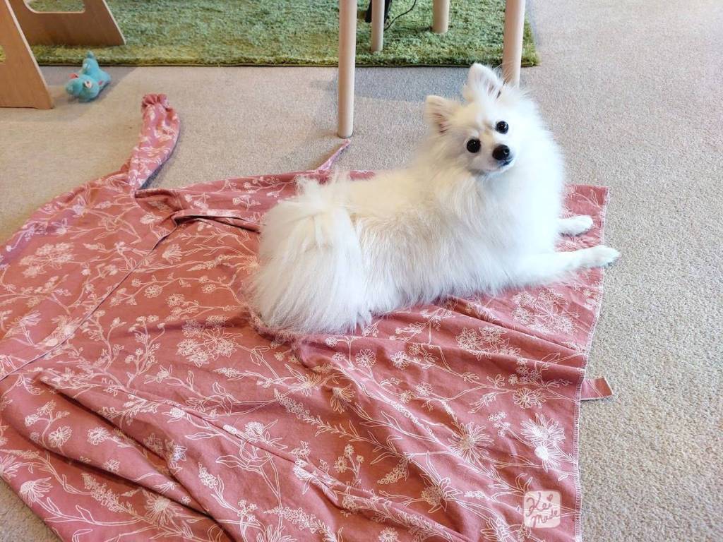 Almost finished sewing a wrap dress, with a Japanese Spitz dog on top
