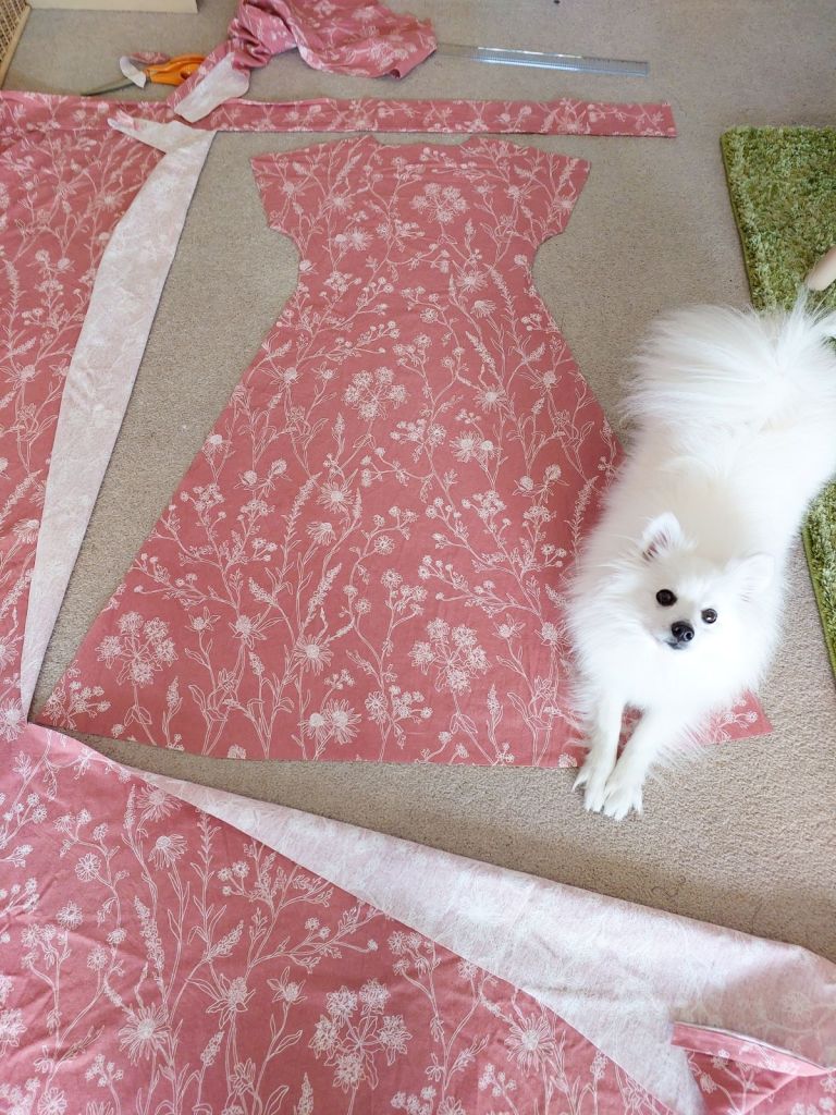 How to sew a wrap dress with a Japanese Spitz dog