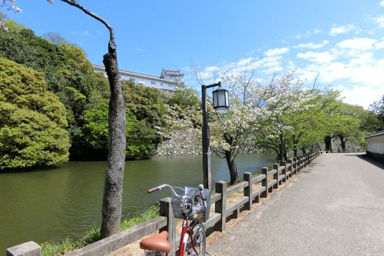 Cycling around Himeji Castle